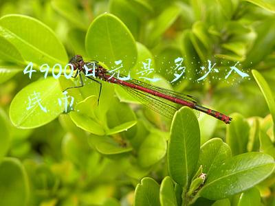 4900日元是多少人民币