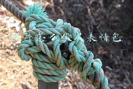 照片怎么做成表情包