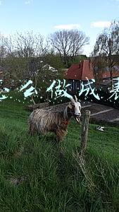 照片怎么做成表情包