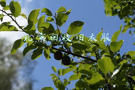 北京回收旧衣服