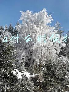 zara什么时候打折