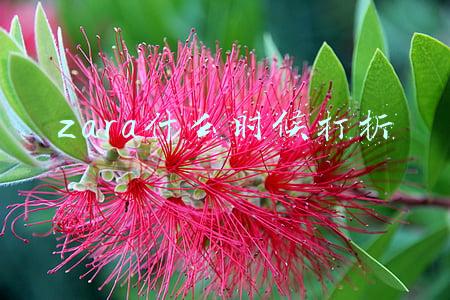 zara什么时候打折