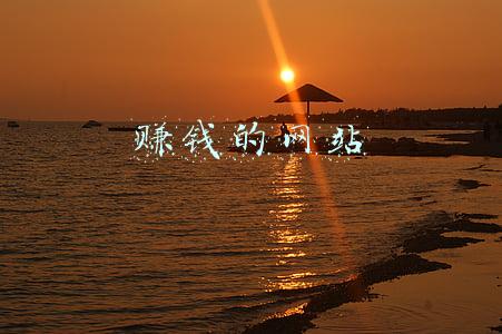 赚钱的网站