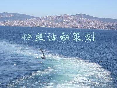 粉丝活动策划 粉丝活动策划