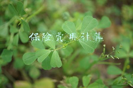 汽车保险费用计算(新汽车保险费怎么计算)
