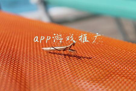 app游戏推广