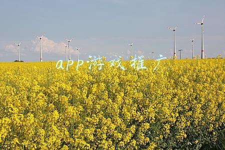 app游戏推广员(手游推广员往事)