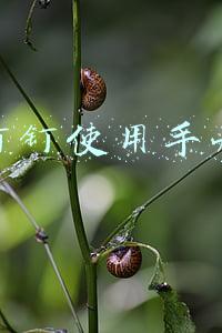 钉钉使用手册