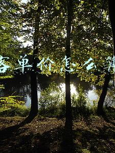 客单价怎么算出来的(新开的水果店怎么定零售价，开水果店怎样给水果定零售价)