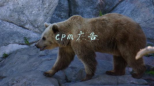 cpm广告