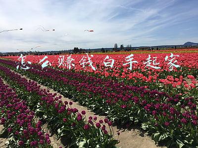 怎么赚钱白手起家