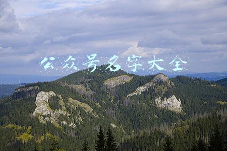 公众号名字大全