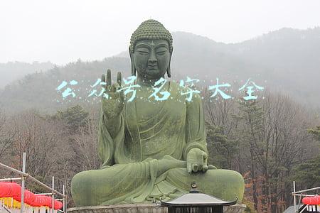 公众号名字大全