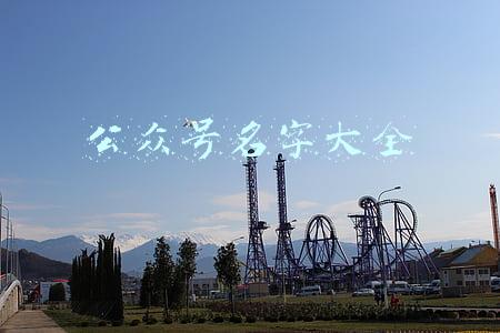 公众号名字大全