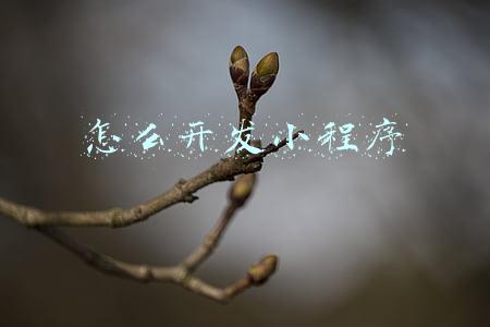 怎么开发小程序