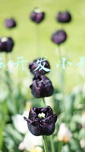怎么开发小程序