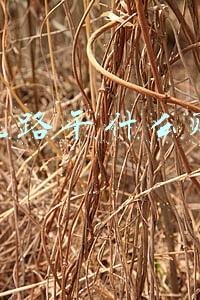 走投无路干什么赚钱快