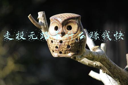 走投无路干什么赚钱快的群(偏门副业，你了解多少？)