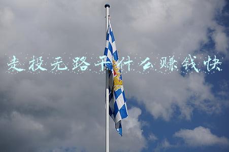 走投无路干什么赚钱快