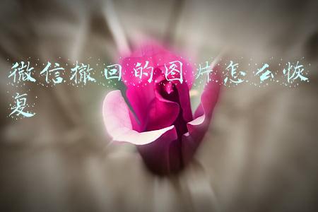 微信撤回的图片怎么恢复