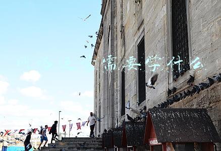 网络运营需要学什么专业(电子信息类专业解读：电磁场与无线技术)