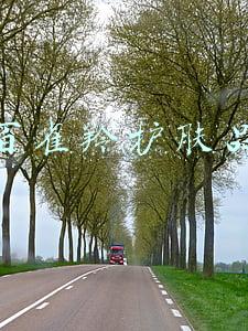 百雀羚护肤品