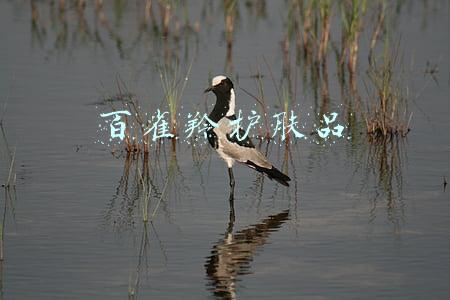 百雀羚护肤品怎么样适合什么年龄段(百雀羚护肤品怎么样 百雀羚护肤品排行榜top8推荐)