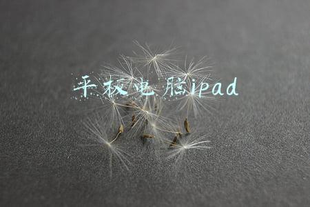 平板电脑ipad