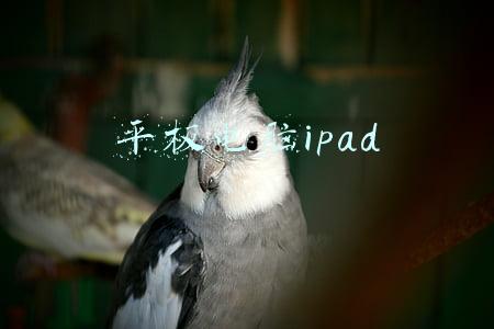平板电脑ipad