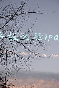平板电脑ipad