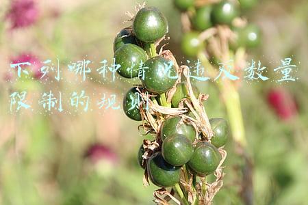 下列哪种情况违反数量限制的规则
