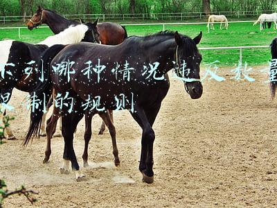 应当根据什么限定在最小范围内(背会学习强国四人赛题库，管它答案随机还是固定（6）)