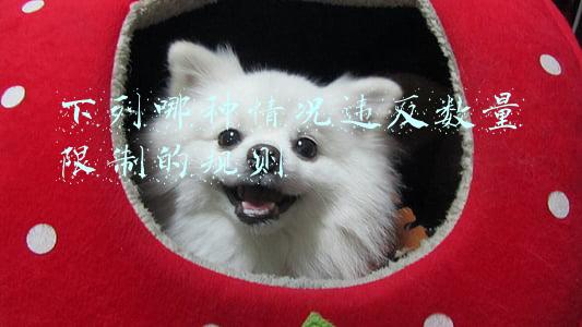 下列划分各违反了哪条规则(踢球时两人相撞，其中一方受伤，该由谁负责？民法典为您解答)