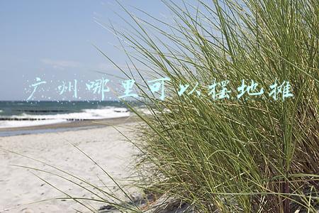 广州哪里可以摆地摊