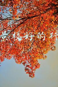 前景较好的行业 前景较好的行业