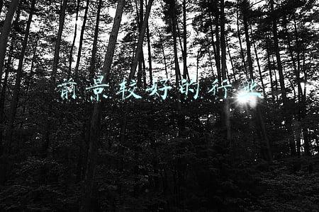 前景较好的行业 前景较好的行业