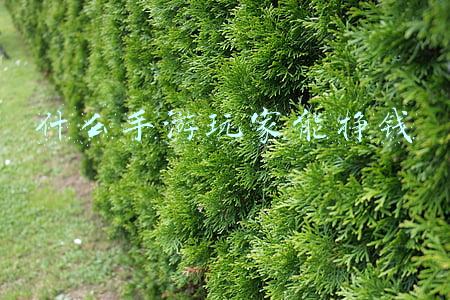 什么手游玩家能挣钱