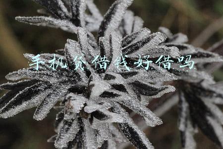 手机贷借钱好借吗