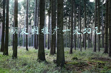 朋友圈推广一天30元