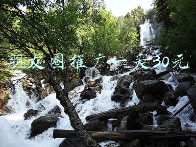 发朋友圈每天赚30元(免费模式真的可以赚钱吗？日入上万、月赚30万是真的吗？)
