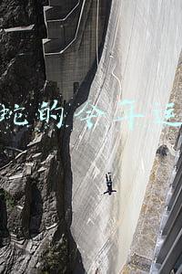 属蛇的今年运程
