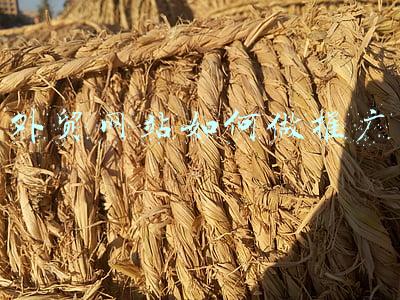 外贸网站如何做推广