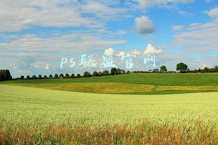 ps联盟官网