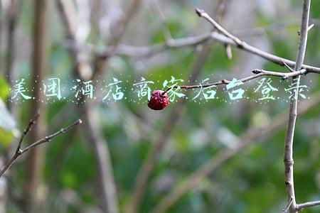 美团酒店商家后台登录