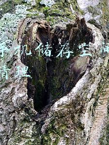 苹果手机储存空间其他怎么清理