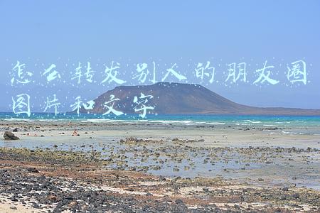 怎么转发别人的朋友圈图片和文字