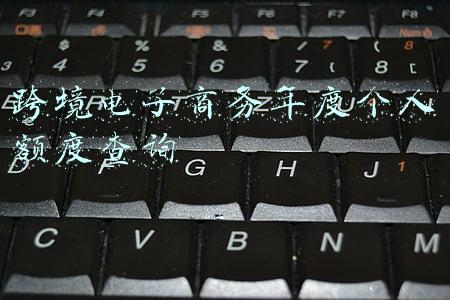 跨境电子商务年度个人额度查询