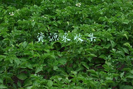 资源来收集