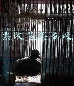 机票改签怎么收费
