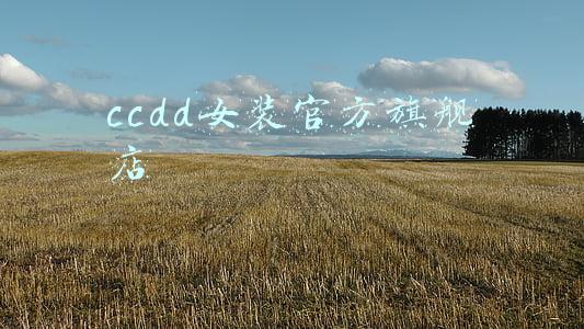 ccdd女装官方旗舰店